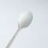 Cuchara Desechable Redonda para Postre de Ácido Poliláctico PLA Personalizada de 6 pulgadas Empaque Vajilla Totalmente Biodegradable Ecológica Grado Alimentario