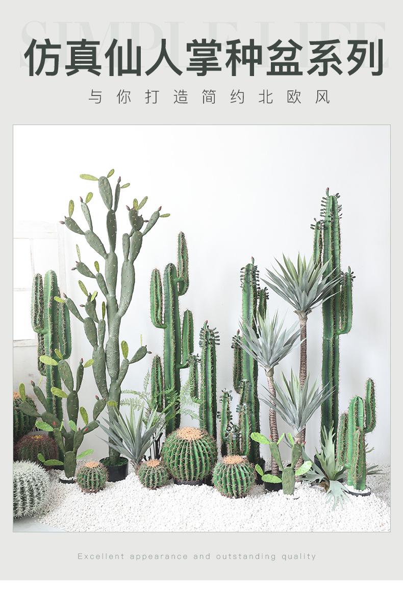 仿真仙人掌种盆系列_01.jpg