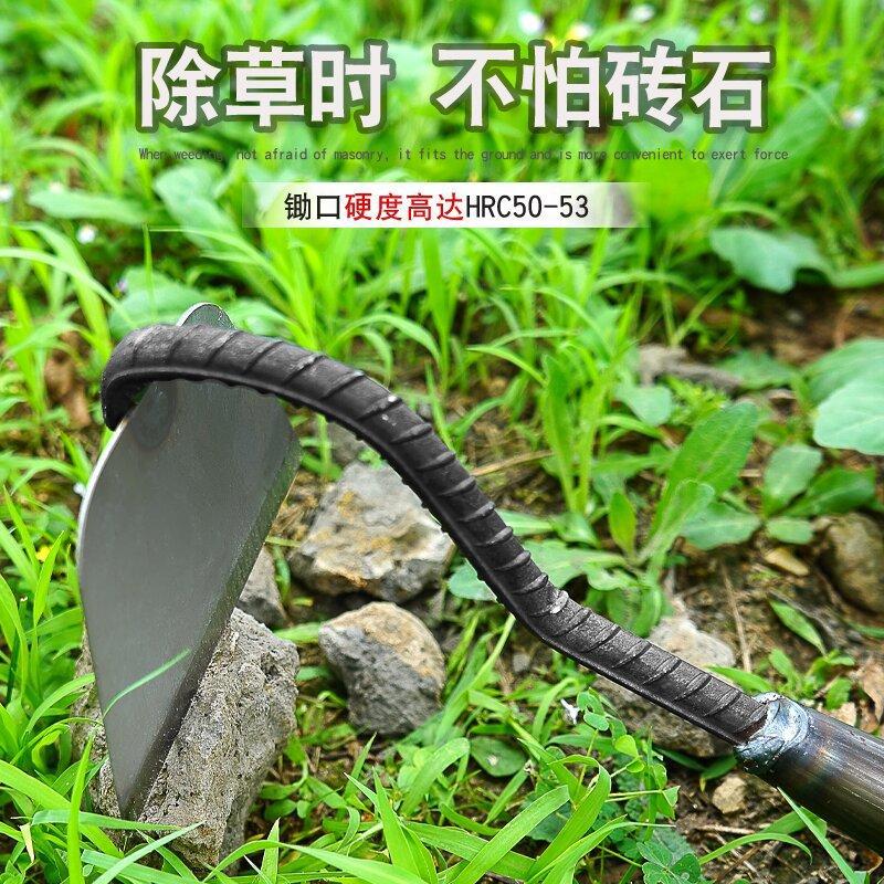 图3_proc