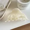Pinza para el Cabello Irregular Hueca para Mujer, Pasador Suave y Sofisticado, Pinza de Tiburón de Nuevo Estilo 2025 para Recogidos, Accesorio para el Cabello en la Parte Posterior de la Cabeza