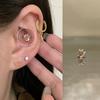 ¡Garra de dragón! Tienda Ringring Pequeño Super Flash Uña de Hueso de Oreja Acero de Titanio Uña de Oreja Perforación de Oreja Aretes de Uña Coclear
