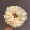 Súper Hada Lazo Dulce Intestino Grueso Anillo para el Cabello Cinta de Ballet Estilo Coreano Estilo Suave Cuerda de Encaje Accesorios para el Cabello