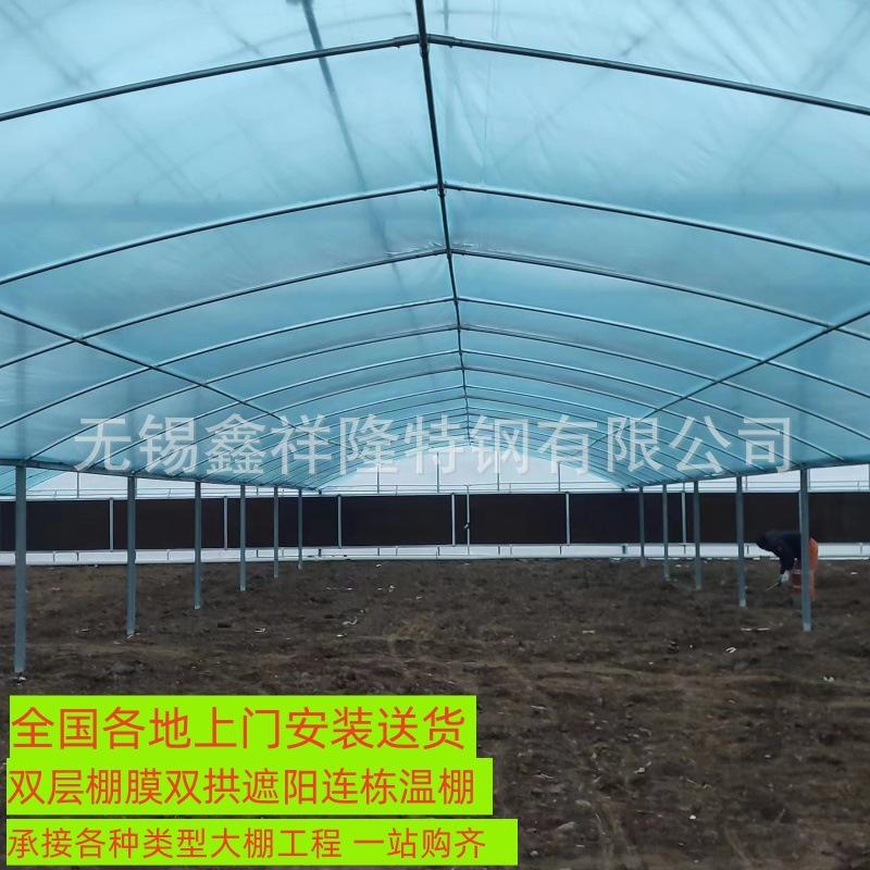 微信图片_20231227081706_副本