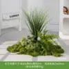 Musgo Sintético Decoración Suave para Interiores Conjunto de Micro Paisaje Combinación Exhibición en Ventana Pasillo Musgo Artificial Plantas Verdes Arreglo de Paisajismo Decoración