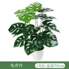 Paisagismo Simulado de Plantas Verdes Transfronteiriço, Parede de Plantas de Eucalipto, Decoração de Arranjo de Flores, Folhas Pequenas, Acessórios para Parede de Plantas Artificiais de Folhas Verdes