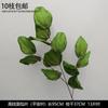 Decoración de Flores Artificiales Verdes Material de Flores de Hoja de Manzana Flor Exterior Planta Verde Hermoso Arreglo Chen Simulación de Hoja de Tortuga Arte Floral para Boda