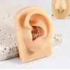 Moda nova transfronteiriça liga de titânio zircônia olho de cavalo fivela de orelha argola de nariz perfuração anel de osso da orelha anel de interface anel de nariz em forma de flor