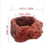 Maceta Piedra Volcánica Maceta Bonsái Suculenta Bambú Wenzhu Maceta Piedra Natural Planta Araña Colgante Transpirable Absorbente de Agua Maceta Piedra Tamaño Pequeño