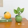 Naranja Grande Naranja Italiana Cerámica Jarrón Pequeño Decoración de Escritorio Sala de Estar Arreglo Floral Planta Hidropónica Rábano Verde Decoración de Escritorio