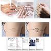Pegatinas de Tatuaje Herbales de Mariposa y Serpiente para Hombres y Mujeres, Tatuajes Creativos de Estilo Antiguo para Brazos y Piernas, Impermeables, a Prueba de Sudor, de Larga Duración y Semi-Permanentes