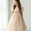 Venta al por mayor de vestidos formales para niños para exportación y ventas transfronterizas: Vestidos de princesa de cuello redondo y manga abullonada para niñas pequeñas, adecuados para fiestas, cumpleaños y actuaciones.