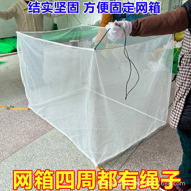 四周带绳4.jpg