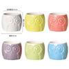 Maceta de Cerámica Creativa Moderna Simple Transfronteriza Amazon Jardinería Búho Animal Color Sólido Bonsái Suculenta Flor
