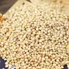 Sorgo Blanco al por Mayor Sorgo Blanco Pelado Productos Agrícolas para Loros Grandes, Comida para Hámster, Comida para Palomas