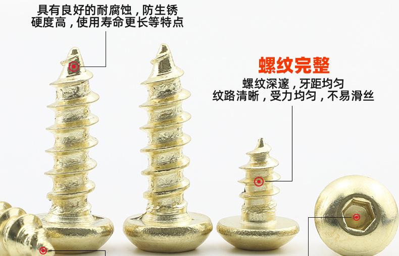 304不锈钢金色圆头内六角自攻螺丝_03_10.jpg