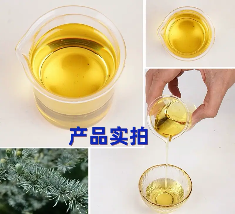 微信图片_20250514124304