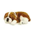 Perfect Petzzz (filhotes) Cachorro Bulldog