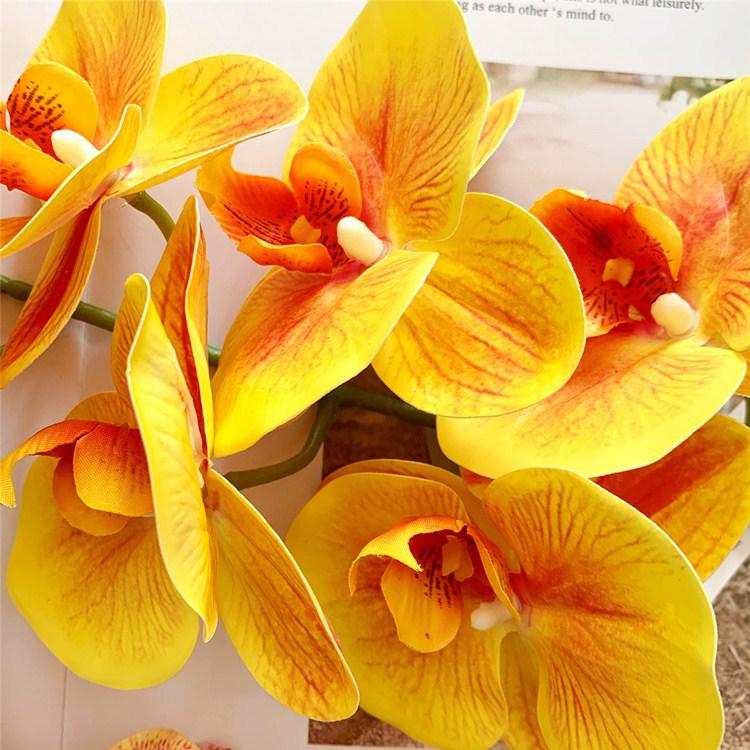 QQ图片20201119122723