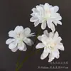 Flores Blancas Materiales Flores de Boda Flores de Seda Materiales Florales Decoración de Techo de Salón de Bodas Flores Flores Artificiales Flores para Arcos Arreglo Floral Arte Floral