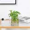 Vaso Quadrado de Vidro Borossilicato Alto Recipiente Hidropônico Micro Paisagem Garrafa Ecológica Suporte de Vela Decoração de Flores Secas para Casa Ornamento