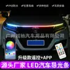 Luz diurna Yuechi para coche a través de la malla cubierta de luz LED decorativa tira guía de luz para huecos luz de ambiente marquesina