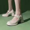 Zapatos europeos y americanos 202343 comercio exterior zapatos nuevos 40 mujer talla grande tacones altos de 8cm tacón grueso hebilla cuadrada retro