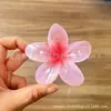 Presilha de Cabelo Gradiente Pérola Plumeria Transfronteiriça Europeia e Americana Presilha de Flor Presilha Lateral Presilha para Meio Preso Parte de Trás da Cabeça Presilha de Tubarão