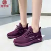 Sapatos Femininos Base de Montanha Comércio Exterior Transfronteiriço Atacado Novo Confortáveis Casuais Esportivos Femininos Primavera e Outono Flyknit Sapatos Femininos Venda Direta do Fabricante