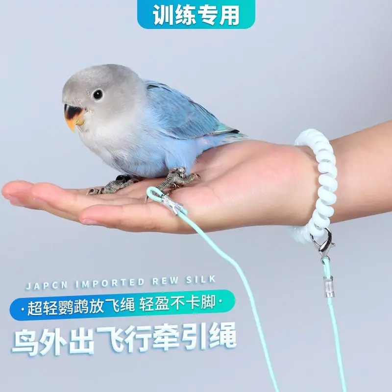 微信图片_20260329103152_413_187