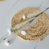 Estacas de Flor de Juncos, Materiais Florais, Materiais para Arranjos Florais, Decoração de Casa, Adereços para Sessão de Fotos em Estúdio, Cenas de Casamento