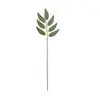 Amazon TEMU Combinação de Eucalipto Simulado DIY Galhos de Inserção Folhas de Dinheiro Gipsofila Flor Artificial Decoração Transfronteiriça