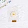 Planta Espécime Selada em Plástico Espécime de Planta Crianças do Jardim de Infância Ferramenta de Ensino Flor Seca Marcador de Página Cartão com Folha Real em Relevo