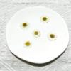 Flor Seca de Crisântemo Embossada Cartão de Saudação DIY Marcador de Página Gotejamento de Cola Acessórios de Joia Velas de Aromaterapia Acessórios Defletor Folha Seca Flor Real
