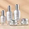 Veta plateada 40ml-120ml Set de Botellas Cosméticas 50g Botella de Crema Producto para el Cuidado de la Piel Botella de Vidrio Botella de Botella de Esencia Loción