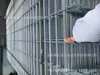 Fornecimento de Longo Prazo de Malha de Aço Galvanizado