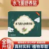Parche Aivan Great Doctor Cardo Mariano Ginseng Mano de Buda Paquete de 8, disponible para dropshipping, directo del fabricante, parches en stock