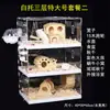 Gaiola para Hamster, Gaiola para Hamster Dourado, Conjunto Completo Barato Estilo Villa Luxuosa Grande, Ninho Pequeno, Gaiola Transparente de Acrílico