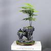 Maceta de bambú suculenta transfronteriza árbol de la fortuna bonsái vintage bambú de arroz interior de buen crecimiento suspensión isla flotante hierro micro paisaje Cuenca
