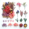 Atacado de Flores Secas do Fabricante, Acessórios para Velas Artesanais Personalizados, Decorações para Presente de Dia dos Namorados, Flores Naturais, Materiais DIY de Flores Eternas
