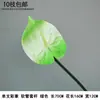 Flor Verde Atacado Decoração de Casamento na Floresta Folhas Folhas Verdes Flores de Seda Flores de Casamento Grama de Papiro Plantas Verdes