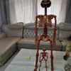 Generación transfronteriza pelo cráneo articulación ajustable Halloween adornos de terror calabaza esqueleto humano 40 90cm esqueleto