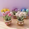 Popular Transfronteiriço Acabado Feito à Mão Buquê de Lã Tulipa de Crochê Grande em Vaso Decoração de Escritório Casa Feriado