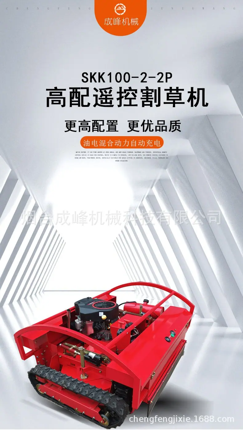 详情--1[1].jpg