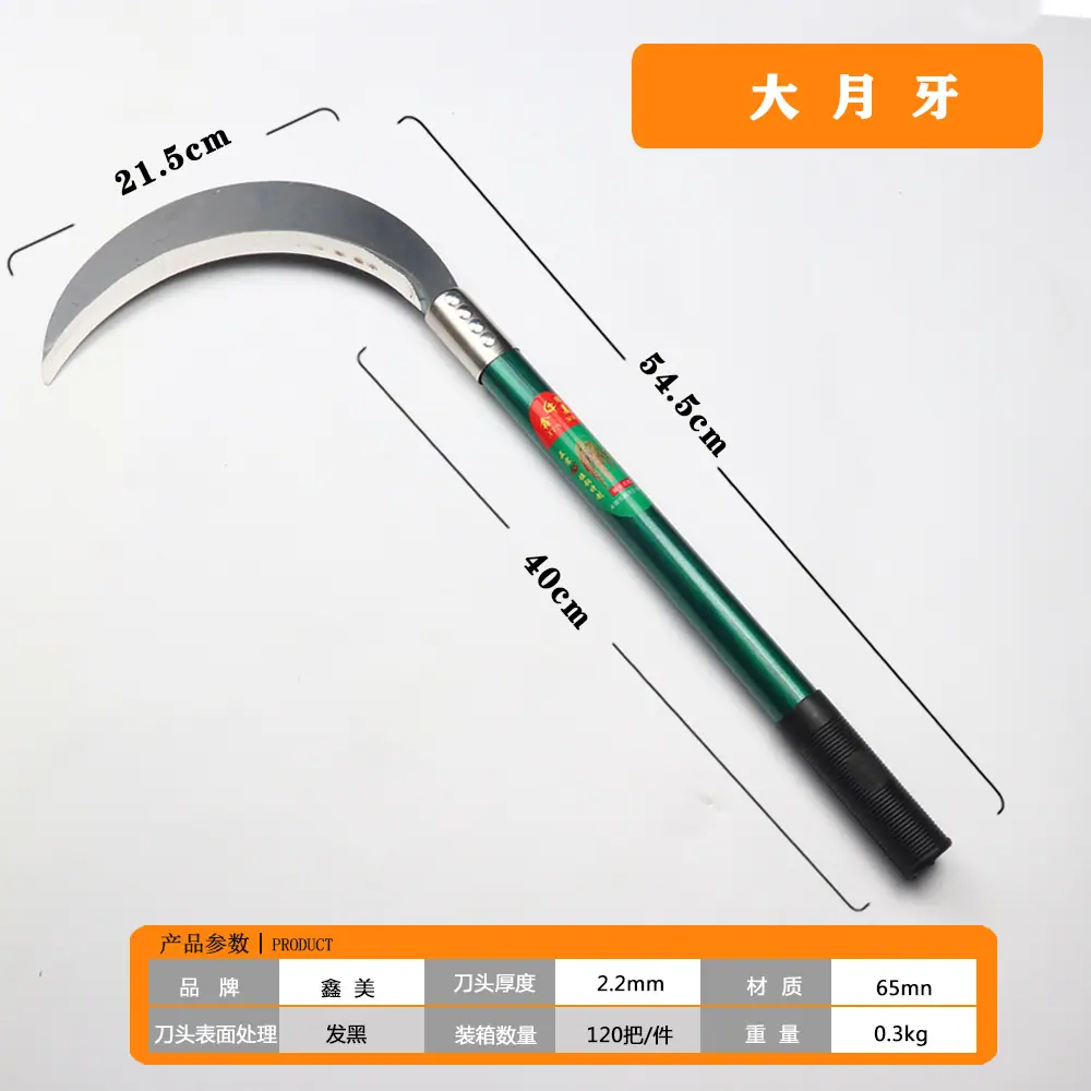大月牙