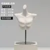 Accesorios de Maniquí para Ropa Interior de Mujer y Hombre, Maniquíes de Plástico Blanco Mate de Medio Cuerpo para Exhibición en Vitrina y Estantes de Exhibición al por Mayor