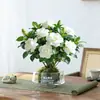 Gardenia Hidropónica Bola de Musgo en Maceta Rosa Miniatura Plantas de Oficina Bambú de la Suerte Árbol del Dinero de Escritorio Interior