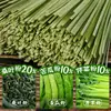 Hoja de Morera, Melón Amargo, Fideos de Apio, Fideos de Frutas y Verduras Verdes, Fideos de Desayuno con Relleno de Granos Integrales, Fideos de Reemplazo de Comida Convenientes, Saludable