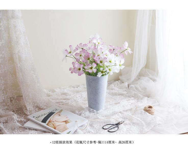 波斯菊1.jpg