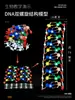 Modelo de estrutura da dupla hélice de DNA, modelo molecular de alta escola em formato grande, corrente de desoxirribonucleotídeos J33306 de 60cm
