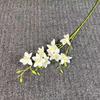 Impressão 3D simulação flor pombo orquídea Phalaenopsis decoração de casamento em casa garrafa buquê de orquídea vendas diretas da fábrica Orquídea pombo